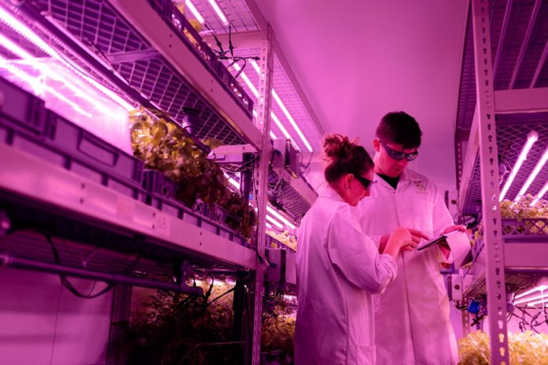 Greenhouse interior