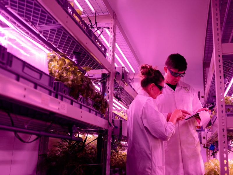 The Benefits of Real-Time Monitoring in Agriculture with Wireless Environmental Sensors