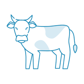 Use Case iMatrix Neo Sensors for Monitoring Livestock