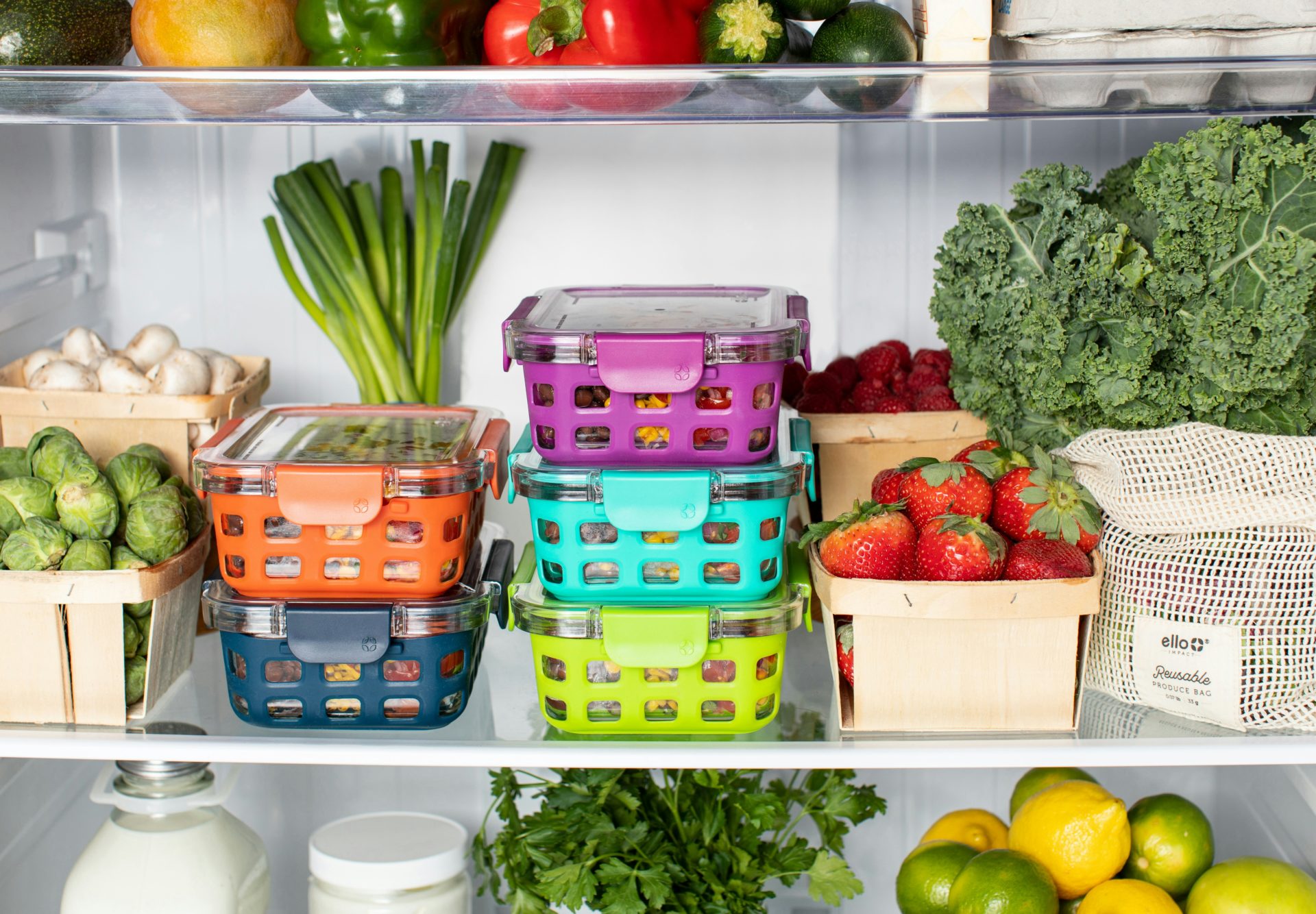 How to Store Food Safely – What You Need to Know